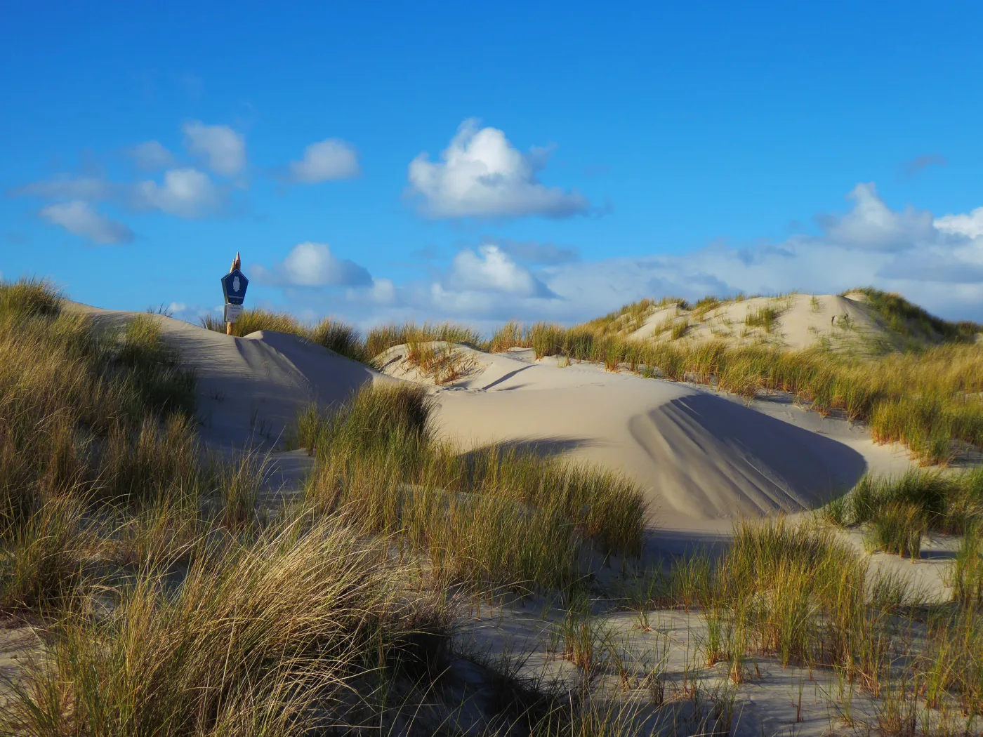 Nah & Fern – Entdeckungstour zwischen Dünen & Strand mit Steffen Bild 1