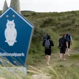 Familien-Erlebnistour mit Steffen durch Dünen & Strand Bild 4