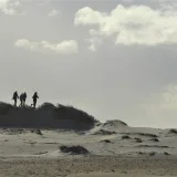 Familien-Erlebnistour mit Steffen durch Dünen & Strand Bild 2