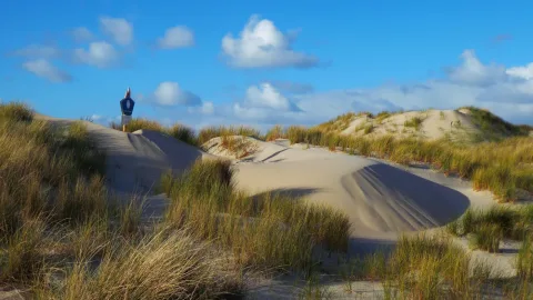 Nah & Fern – Entdeckungstour zwischen Dünen & Strand mit Steffen