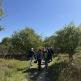 InselErlebnis-Tour Rad & Fuß mit Steffen Bild 2