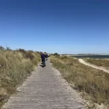 InselErlebnis-Tour Rad & Fuß mit Steffen Bild 4